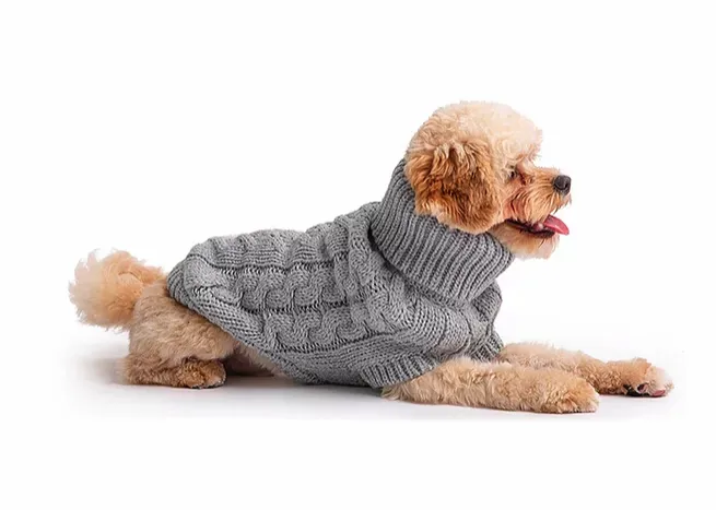 GFpet Chalet Knit Sweater