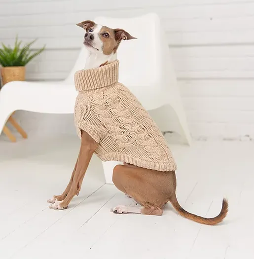 GFpet Chalet Knit Sweater