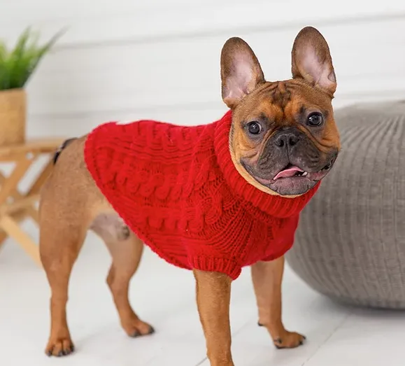 GFpet Chalet Knit Sweater