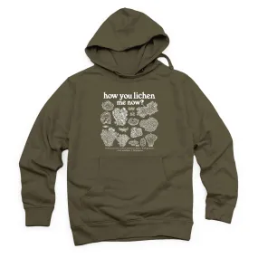 How You Lichen Me Now Midweight Pullover Hoodie