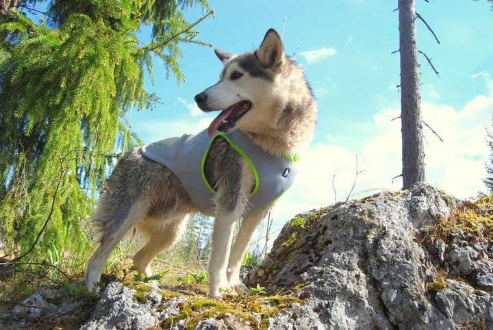 Neon Yellow Dog Cooling Vest, Adjustable, Medium