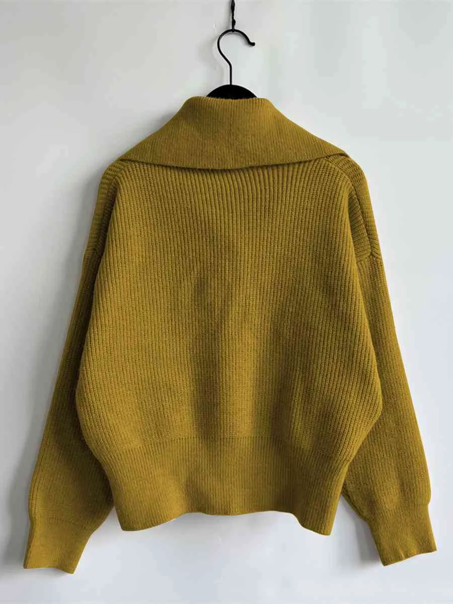 Statement Collar Half Button Sweater