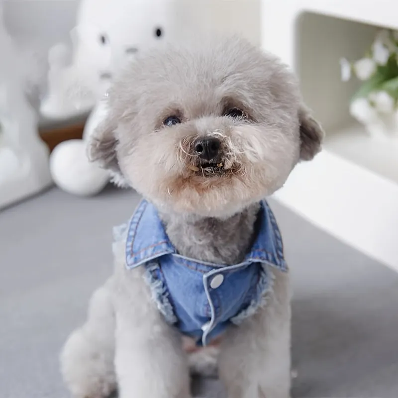 Stylish Denim Sleeveless Vest SpringAutumn Clothing for Small Dogs